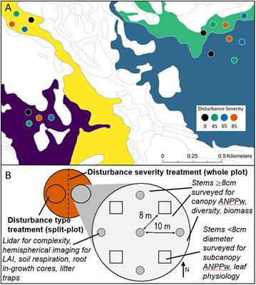 Dynamic subcanopy leaf traits drive resistance of net primary production across a disturbance severity gradient